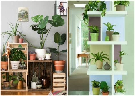 10 ideas para decorar tu casa con plantas y flores | MyM