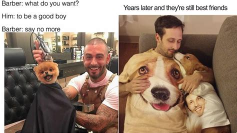 10+ Of The Happiest Dog Memes Ever That Will Make You ...