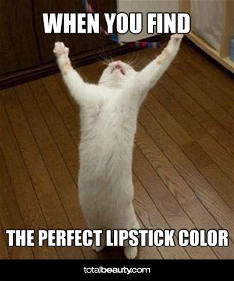 17 Best images about Cat meme on Pinterest | Cats, April ...