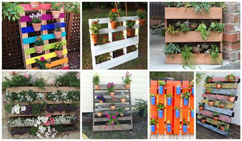 20+ Jardines Verticales con Palets para Embellecer tu Casa