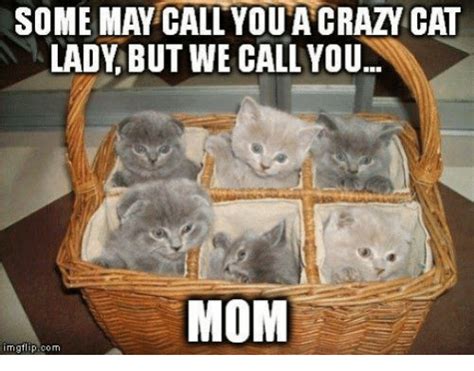 25+ Best Memes About Grumpy Cat and Moms | Grumpy Cat and ...
