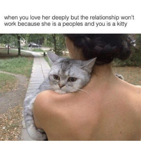 25+ Best Memes About Grumpy Cat and Work | Grumpy Cat and ...
