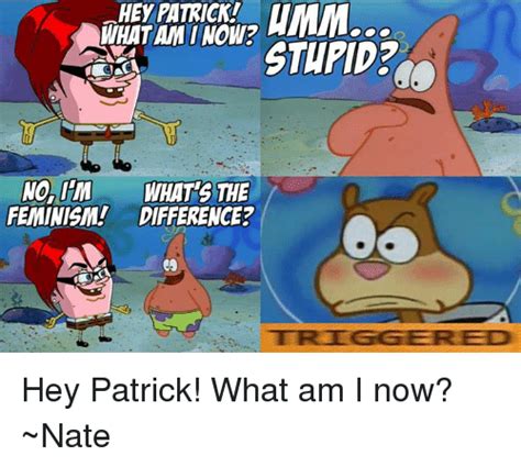 25+ Best Memes About Hey Patrick What Am I | Hey Patrick ...