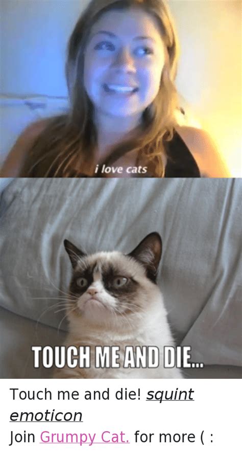 25+ Best Memes About I Love Cats | I Love Cats Memes