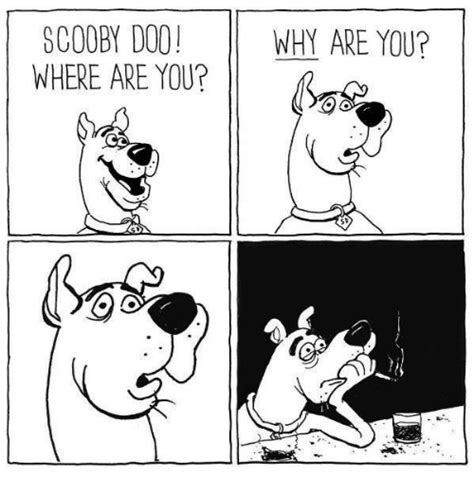 25+ Best Memes About Scooby Doo Where Are You | Scooby Doo ...