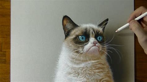 3D Drawing   Grumpy Cat Meme Portrait   YouTube