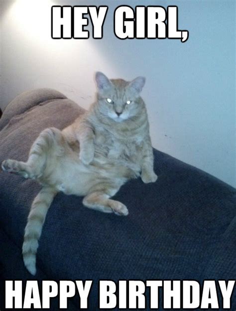 50+ Funny Happy Birthday Cat Memes For 2017   Happy ...