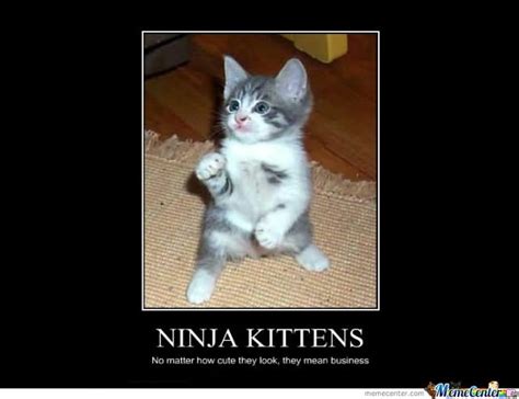 50 Very Funny Ninja Meme Collection   Golfian.com