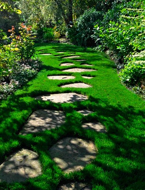 8 ideas de caminos para el jardín