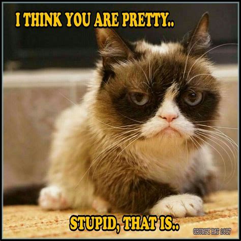 Another Grumpy Cat meme by the other Grumpy Kat 2017 ...