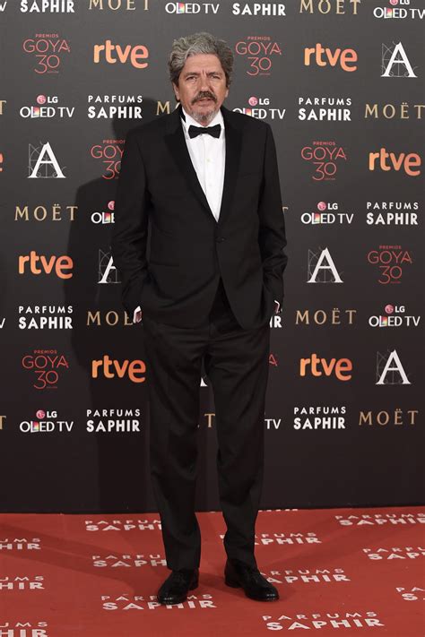 Antonio Dechent en la alfombra roja de los Premios Goya ...