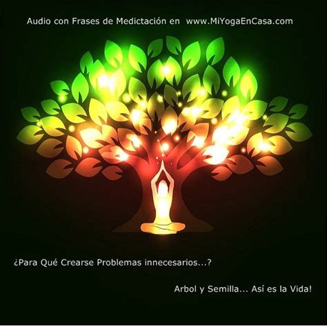 Audio Frases de Meditación: Árbol y Semilla... Así es la Vida!