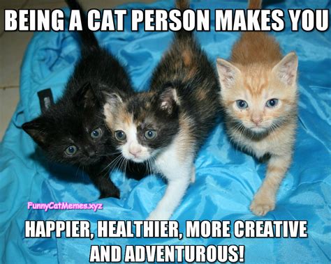 Being A Cat Person!   Funny Kitten MEME
