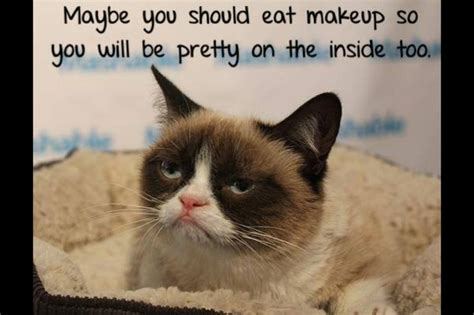 Best Grumpy Cat meme ever! | Funny quotes | Pinterest