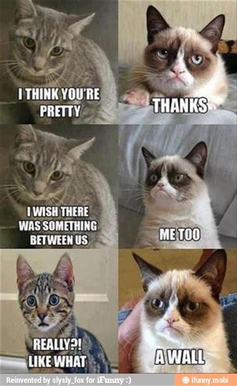 BEST GRUMPY CAT MEMES OF ALL TIME image memes at relatably.com