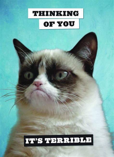 Booktopia   Grumpy Cat Postcard Book by Grumpy Cat ...