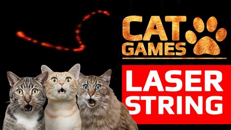 CAT GAMES   AMAZING LASER STRING  VIDEOS FOR CATS TO WATCH ...