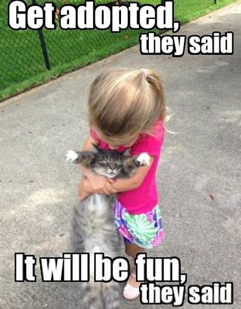 Cat might be changing it s mind about adoption. . . | Fun ...