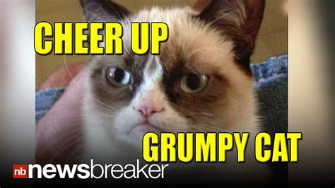 Cheer Up, Grumpy Cat!: Internet Sensation Kitty Gets ...