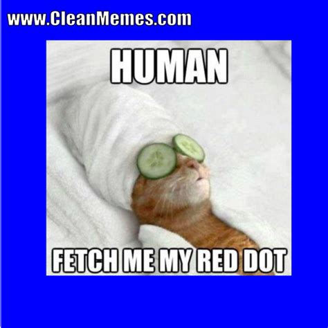 Clean Funny Images | Clean Memes – The Best The Most ...