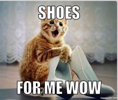 Cute cat meme | Funny | Pinterest