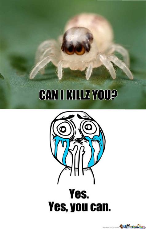 Cute Spider by recyclebin   Meme Center