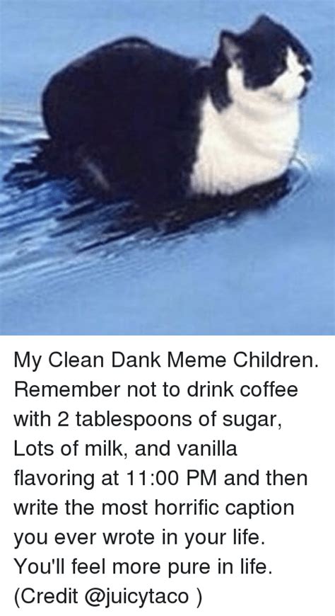 Dank Cat Memes Clean,Cat.Free Download Funny Cute Memes