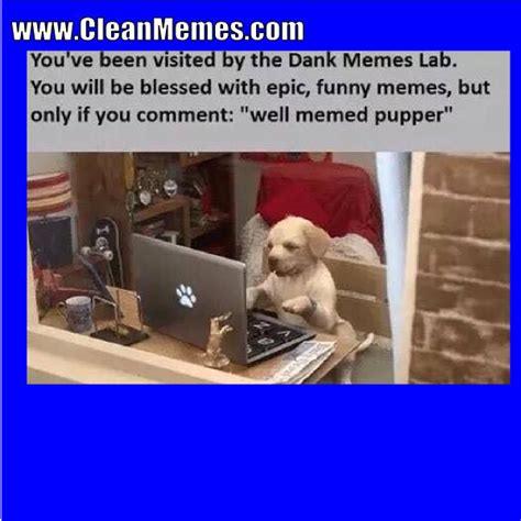 Dank Clean Memes,Clean.Best Of The Funny Meme