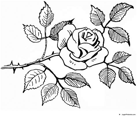Dibujos de rosas para colorear, pintar e imprimir