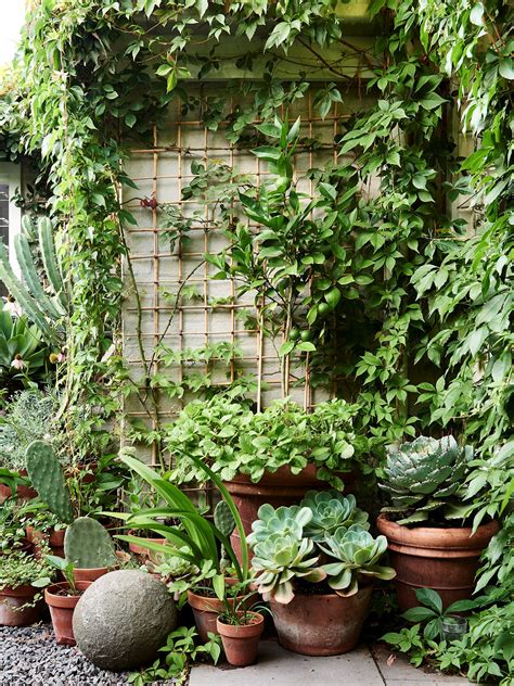 Diseño de jardines: un jardín pequeño y frondoso de 24 metros²