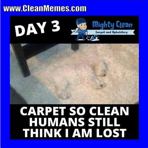 Dog Memes | Clean Memes – The Best The Most Online