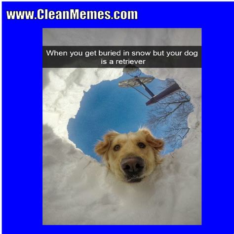 Dog Memes | Clean Memes – The Best The Most Online