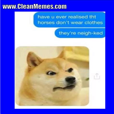 Dog Memes | Clean Memes – The Best The Most Online | Page 14