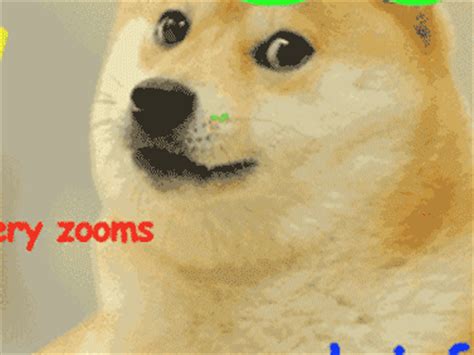 Doge Funny Memes GIF   Find & Share on GIPHY