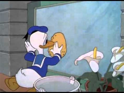 Donald Duck  Window Cleaners 1940   YouTube