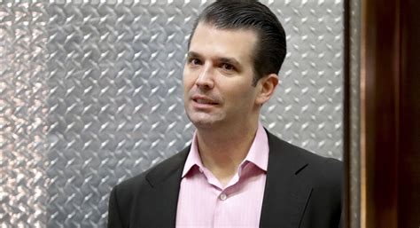 Donald Trump Jr. in legal danger for Russia meeting about ...