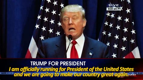 Donald Trump President GIF   Find & Share on GIPHY