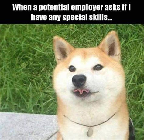 Employer asks if I have any special skills   dog meme