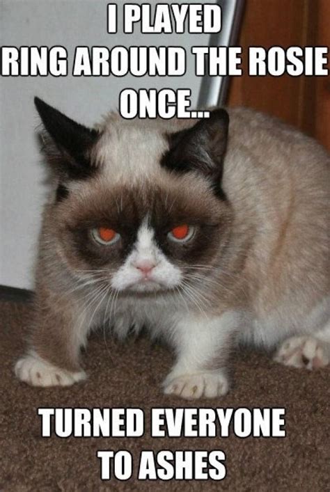 Evil Cat   Meme Guy