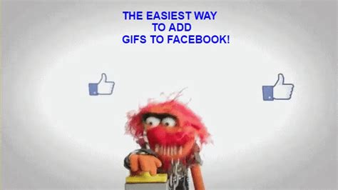 Facebook GIF   Find & Share on GIPHY