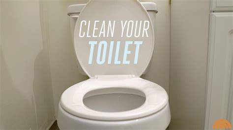 Find out how you should really be cleaning your toilet ...