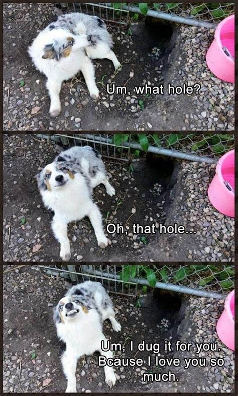Funny Animal Pictures Of The Day – 27 Pics | Funny Animals ...