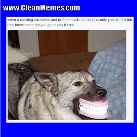 Funny Dog Memes Clean,Dog.Best Of The Funny Meme