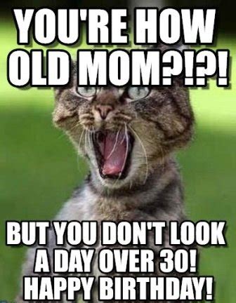 Funny Happy Birthday Cat Meme   2HappyBirthday