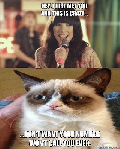 Girl On Fire Grumpy Cat | ... By Grumpy Cat Funny Pic ...