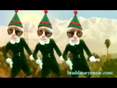 Grumpy Cat Christmas Dance @TMZ   YouTube