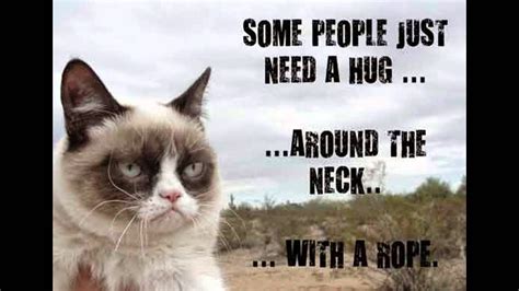 Grumpy Cat   Funny   Quotes   YouTube