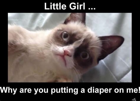 Grumpy Cat gets a Diaper from Funnier or Die