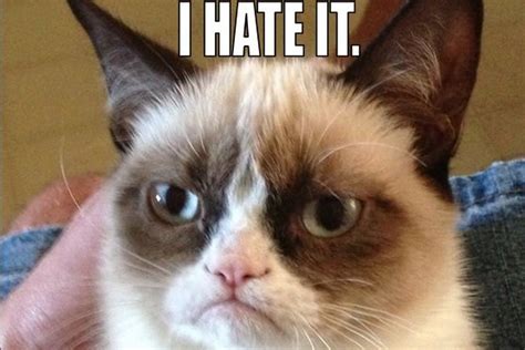 Grumpy Cat gets movie deal, will reportedly star in  big ...
