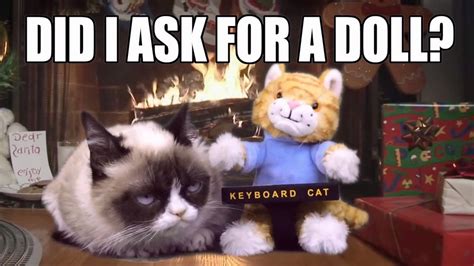 Grumpy Cat Gets The Keyboard Cat Toy For Christmas!   YouTube